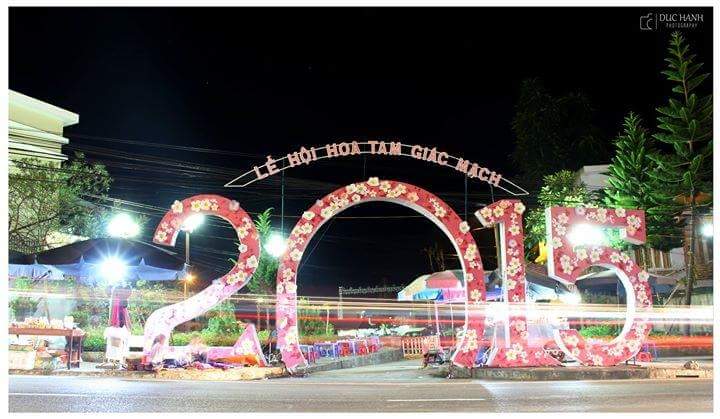 Lễ hội hoa Tam giác mạch năm 2015